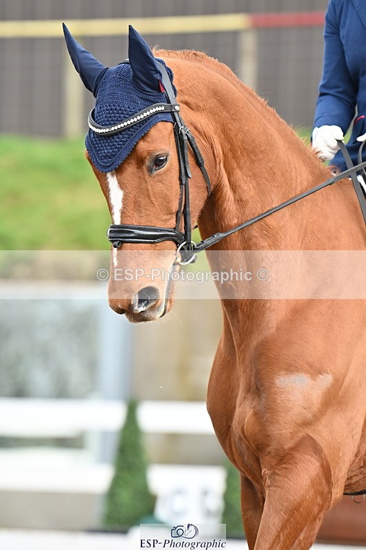 240218A-123550-07022 - 208-Charlotte.Dicker-Catherston.Zahara