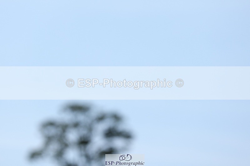 250823A-135758-31425 - Arena D