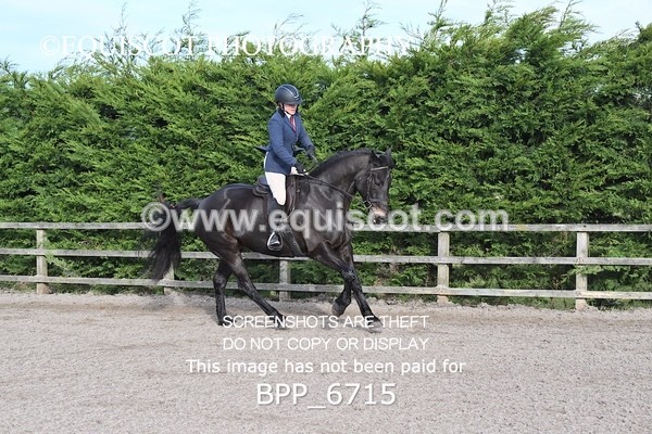 BPP_6715 - RING 1  (RIDDEN HORSES / IN HAND / VETERAN ETC)