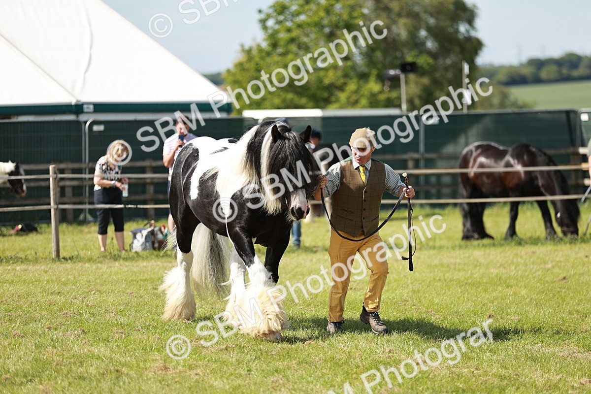 SBM_08864 - Class 63-65 - Traditional Gypsy Cobs In Hand & Ridden