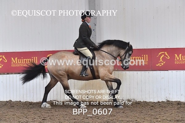BPP_0607 - RING 2