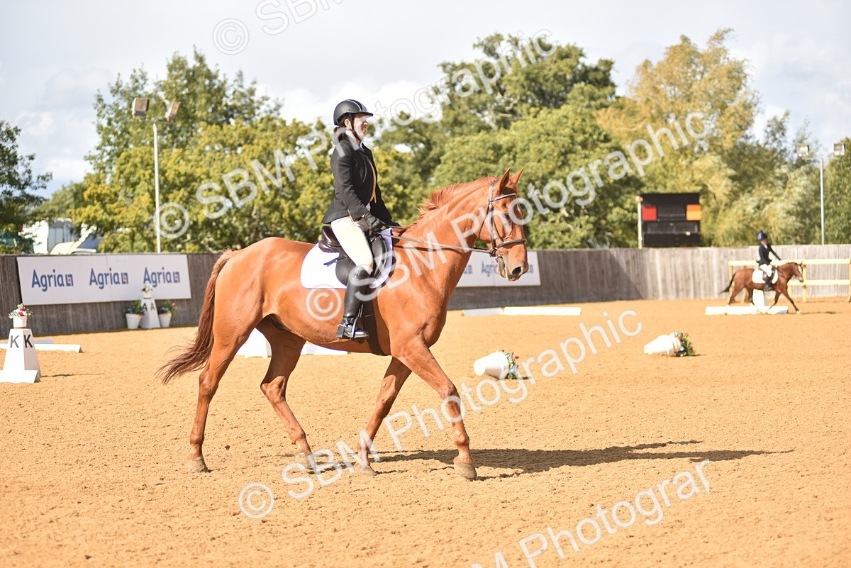 SBM_24228 - D4 - Small Tour Championship Intro 4