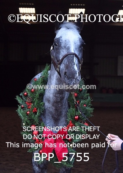 BPP_5755 - Marion West pony 2