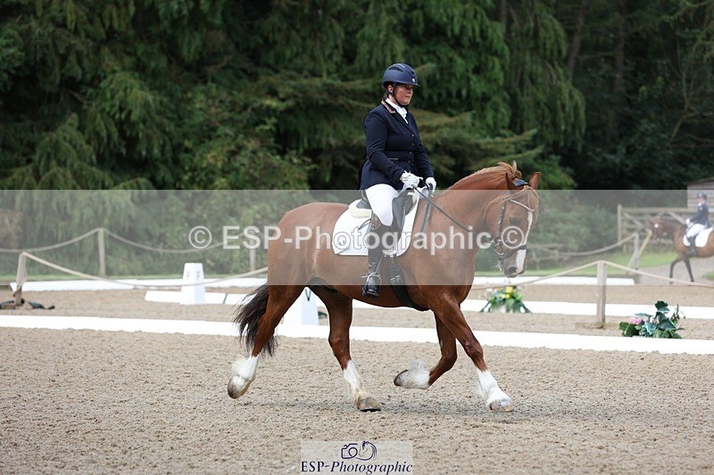 230813-095355-06170 - Cls 11 Elem Bronze Start to 10.50 break