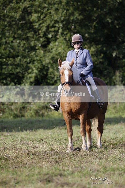 BVRC 120921 95 - Bourne Valley Riding Club UA Dressage & Show Jumping 12/09/21