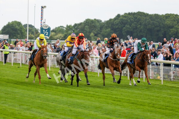 yr11062022r1-152 - Race 1 12.45pm Macmillan Ride of Their Lives, supported by Sky Bet