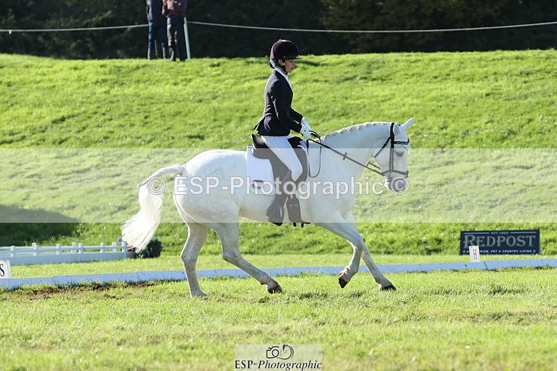 251024A-144141-14097 - F-479-Poppy.Wellman