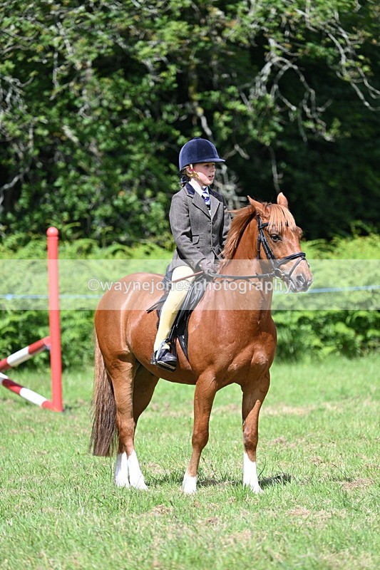 WJ7_1760 - Class 9 Pony Club Pony