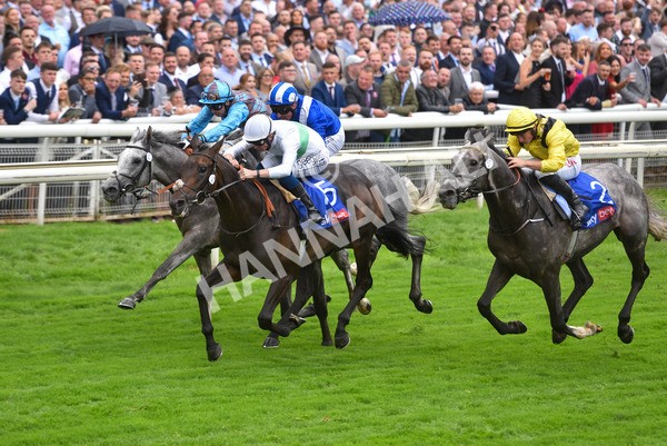 yr21082021r2-23 - Race 2 2.25pm Sky Bet Melrose Stakes