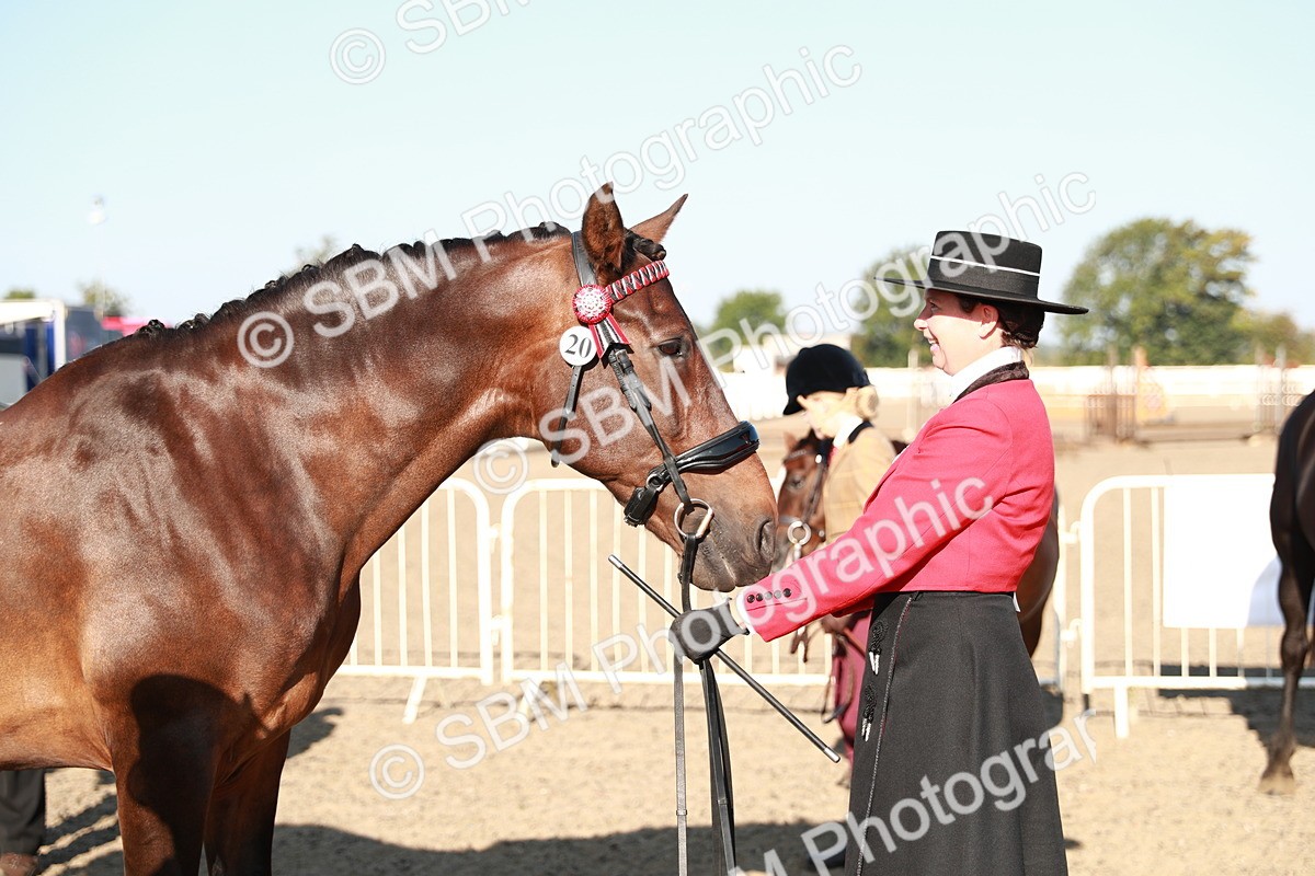 SBM_00058 - Class 40 Best Turned Out IH