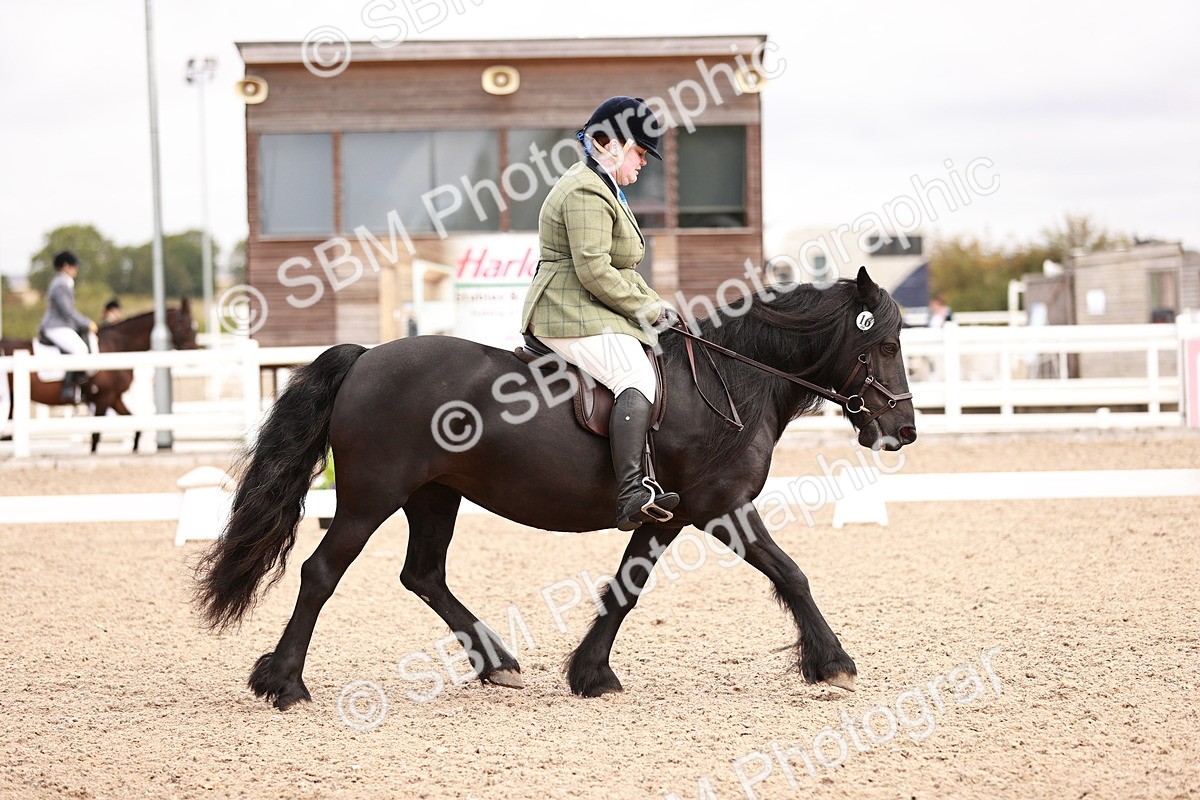 SBM_02457 - Class 35 - Intro 3