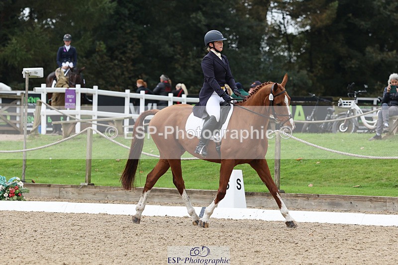 241024-141705-03814 - 160-Gaby.Bull-MILESTONE.GOLD