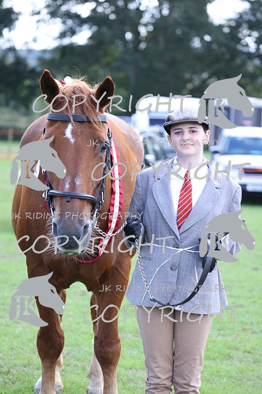 APP_3429 - Class 6 Young Handlers