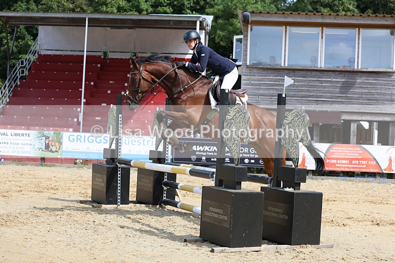 3E7A3548 - Class 4: Senior British Novice/90cm open
