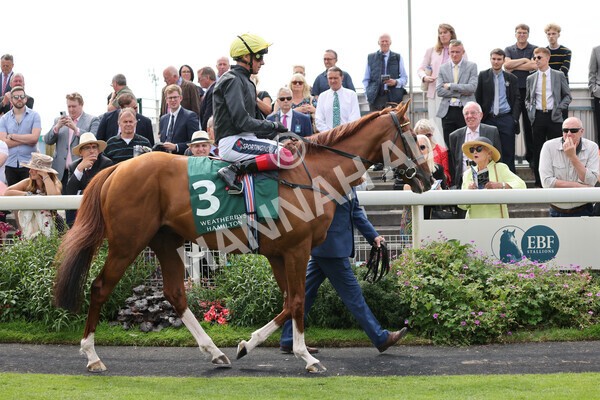 yr20082021r2-28 - Race 2 2.25pm Weatherbys Hamilton Lonsdale Cup (British Champion Series race)