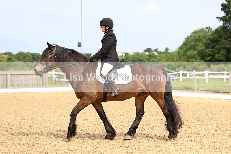 3E7A9089 - Class 2: Intro 1 2024 Section B