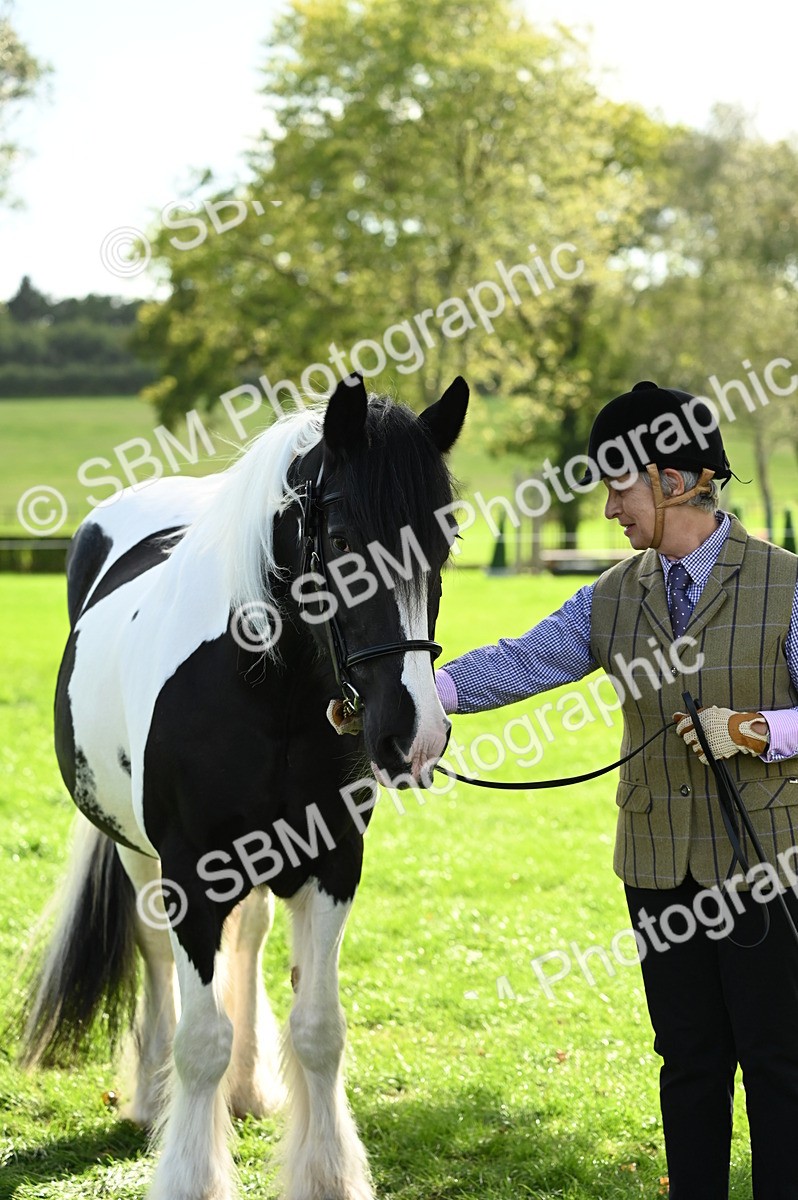 SBM_24991 - S5 - Novice & Newcomer In hand