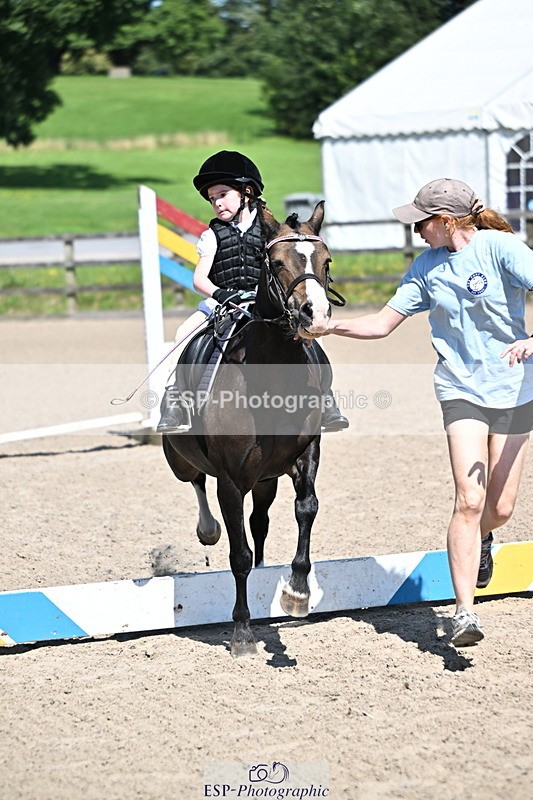 240729B-113927-02470 - Showjumping Competition