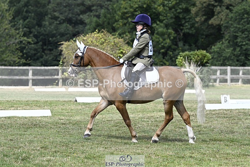 250822A-121853-22691 - DR 11.00 to 12.00