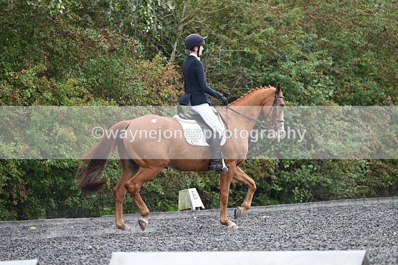 WJ7_6761 - Time 14:49 to 15:14