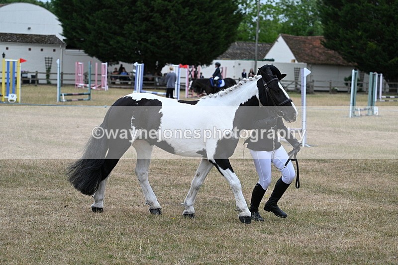 WJ7_8368 - Class 4 Prettiest Mare up to 14.2hh