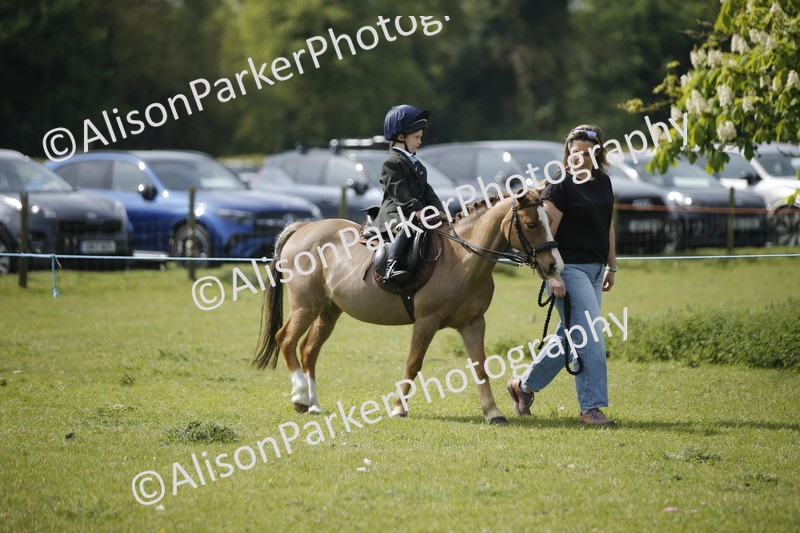 20260426-1838 - Class 7 - Pony Judge Would Most Like To Take Home