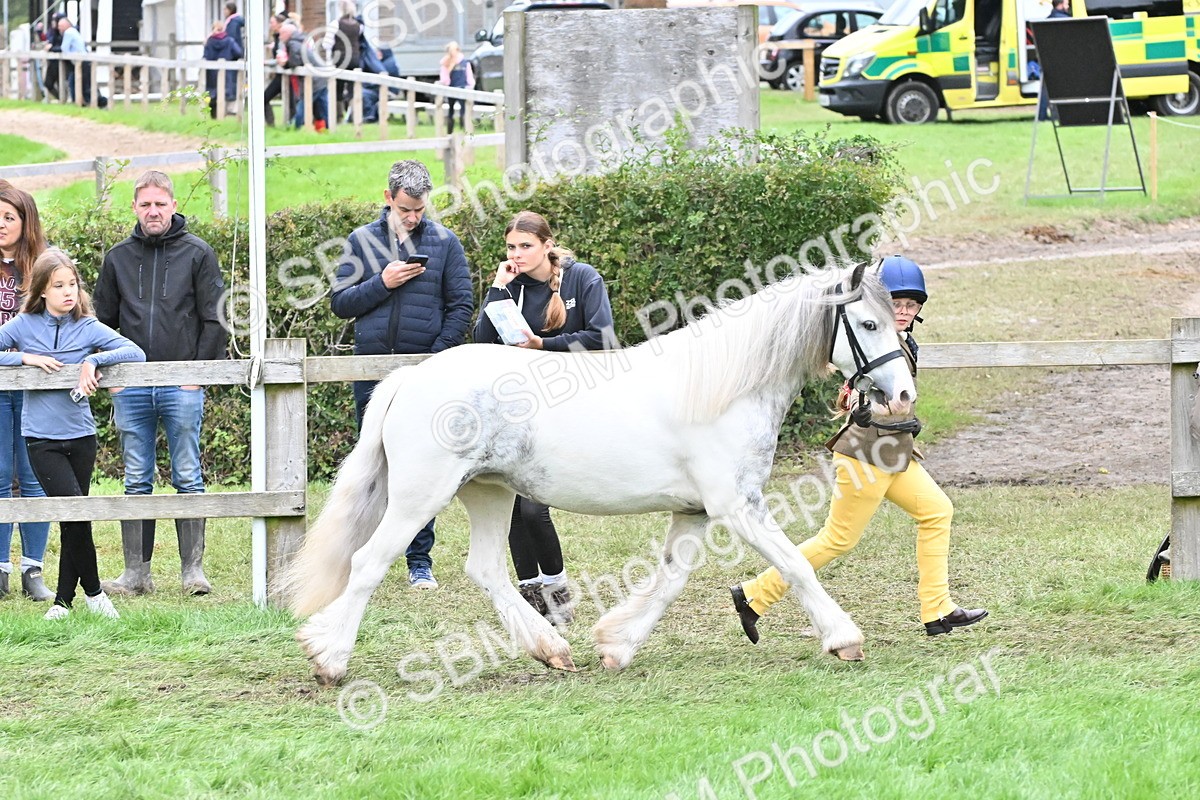 SBM_68563 - S42 - Junior Handler 9-12 Years
