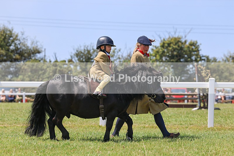 IMG_3034 - M&M Mini Ridden Championship