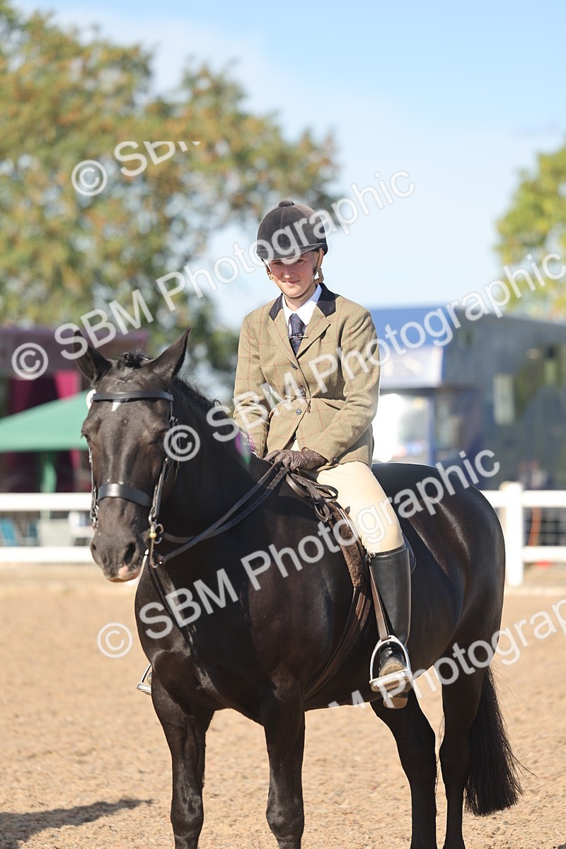 SBM_12376 - Class 304 - Ridden part Bred Horse Pony