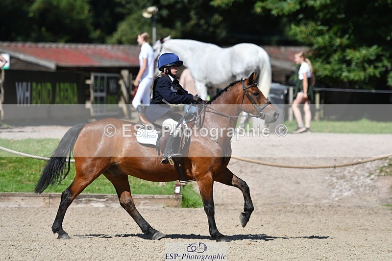 240728-103218-02405 - PC70, Round 2