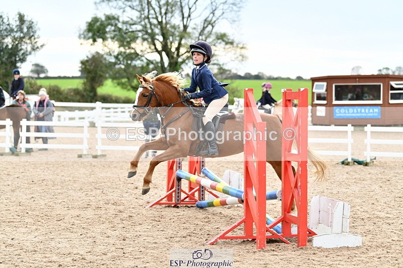 241013B-124821-01039 - Cls 3 50cm