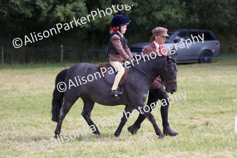 20260614-0602 - Class 20 - Beginners Working Hunter Pony