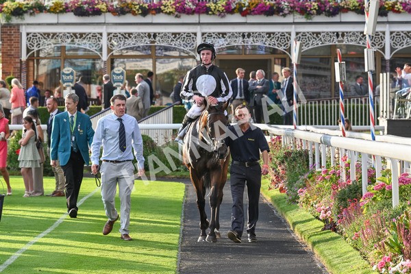 260724-Race 5-Verbier-5451 - Race 5 7.50pm British EBF Lyric Fillies' Stakes