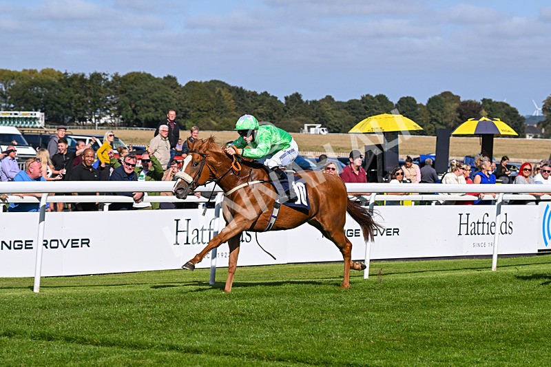 180924-Race 3-Beaujolais Nouveau-4248 - Race 3