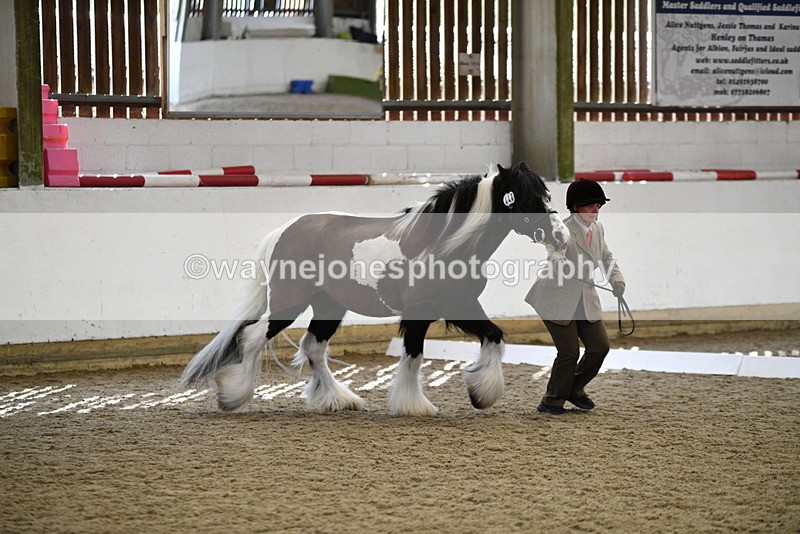 WJ5_5023 - Class 7 In hand coloured / odd coloured