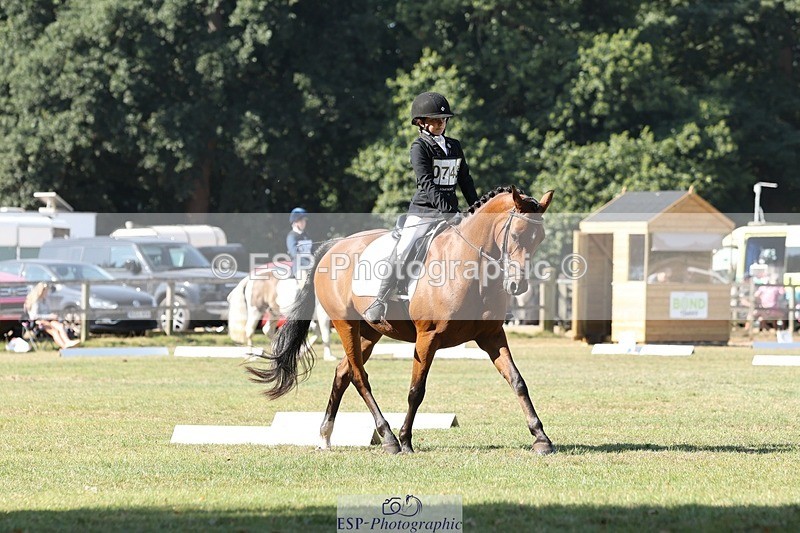 250823A-102543-27024 - Arena C