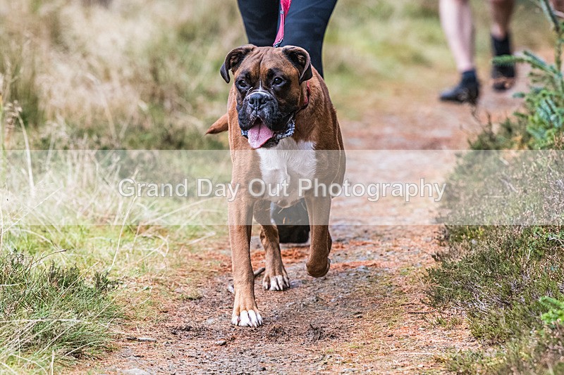 Glentress-1071 - High Terrain Events Glentress 21 & 10K Trail Races Saturday 15th November 2025