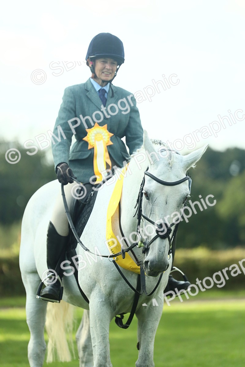 SBM_52222 - S33 - Working Hunter & Working Show Horse