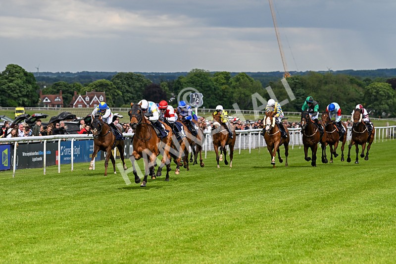 290524-Race 5-Distinction-6440 - Race 5