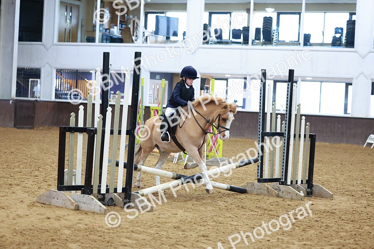 SBM_000293 - Class 19 - 50cm