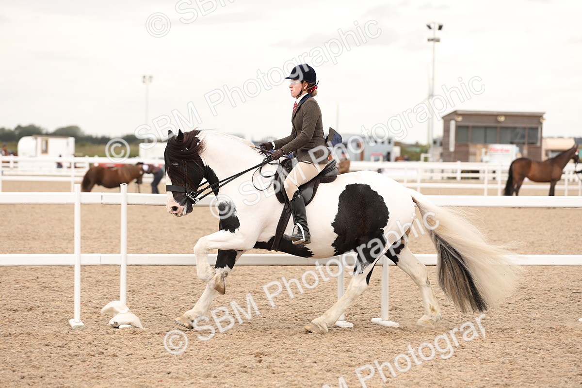 SBM_19689 - Class 216 - Ridden Traditional - Native Cob