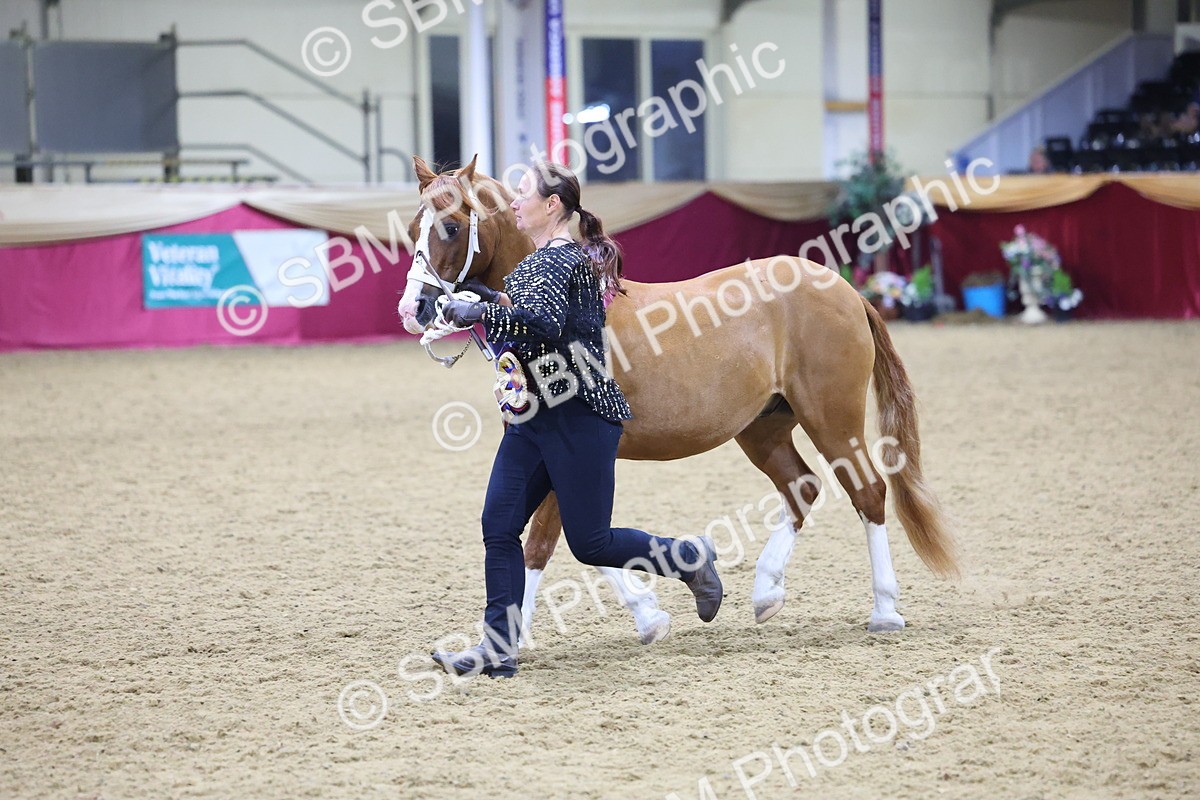 0B8A4439 - Class N M&M Champ