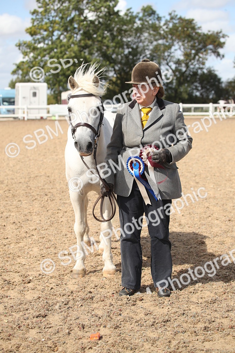 SBM_23584 - Class 605 - 2026 - Area - IH Veteran