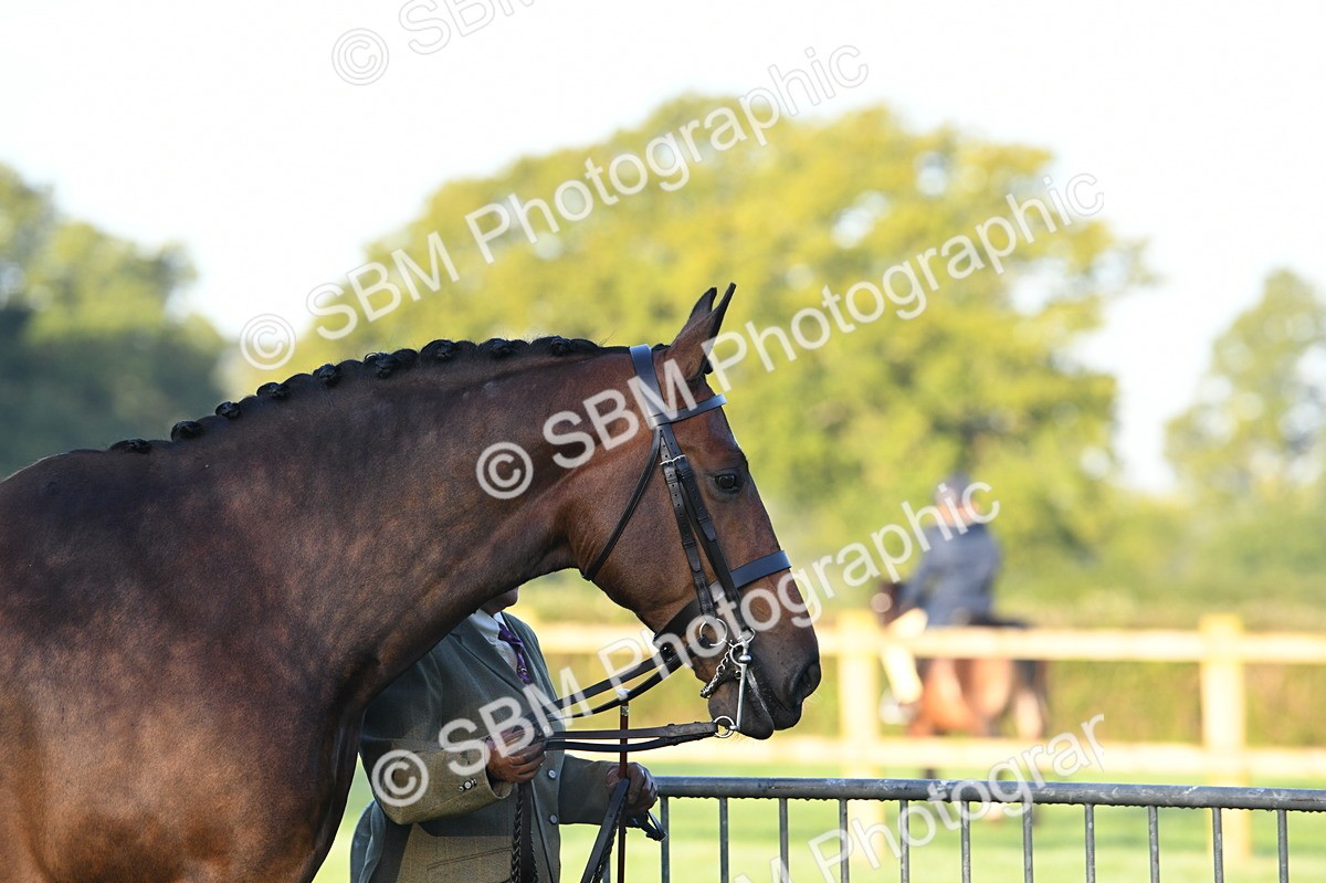 SBM_32453 - S15 - Condition & Turnout In Hand