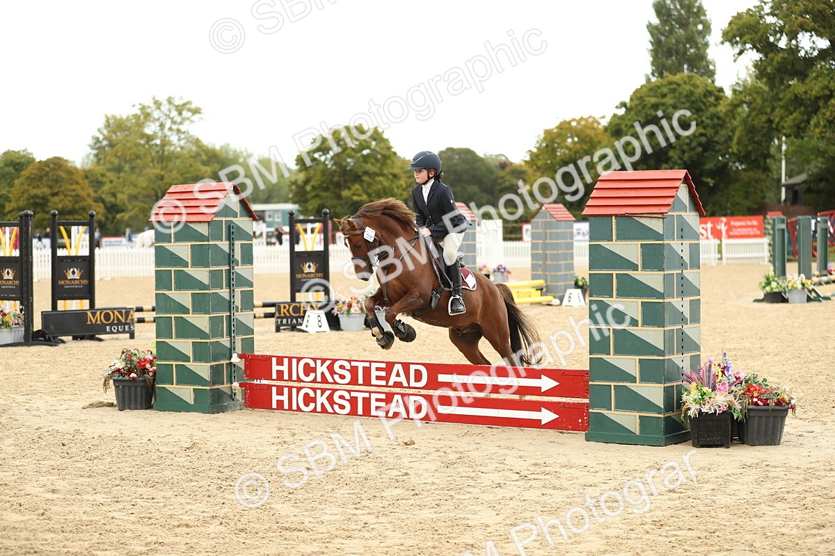 SBM_34221 - J60 Clear Round 50cm