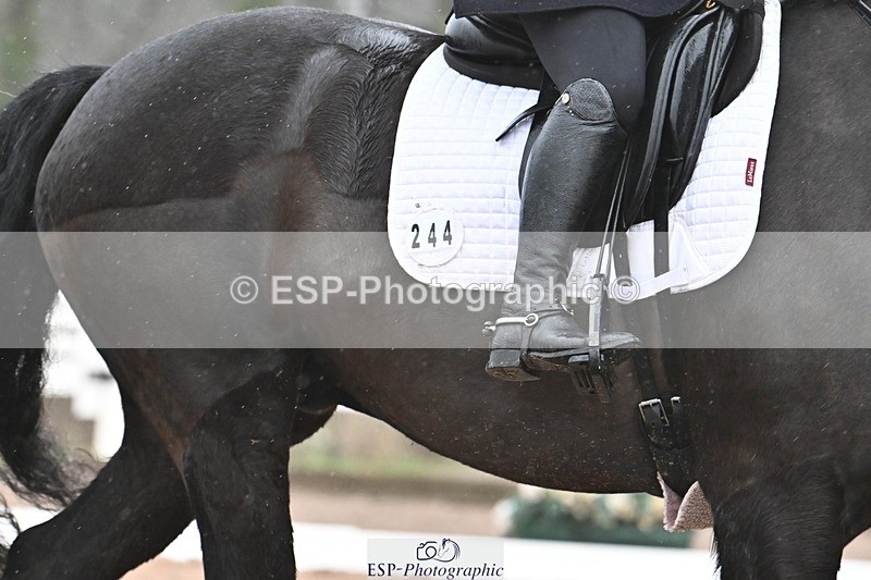 250215-103116-03040 - 244-Suzanne.Clark-Ballinamurra.Billy