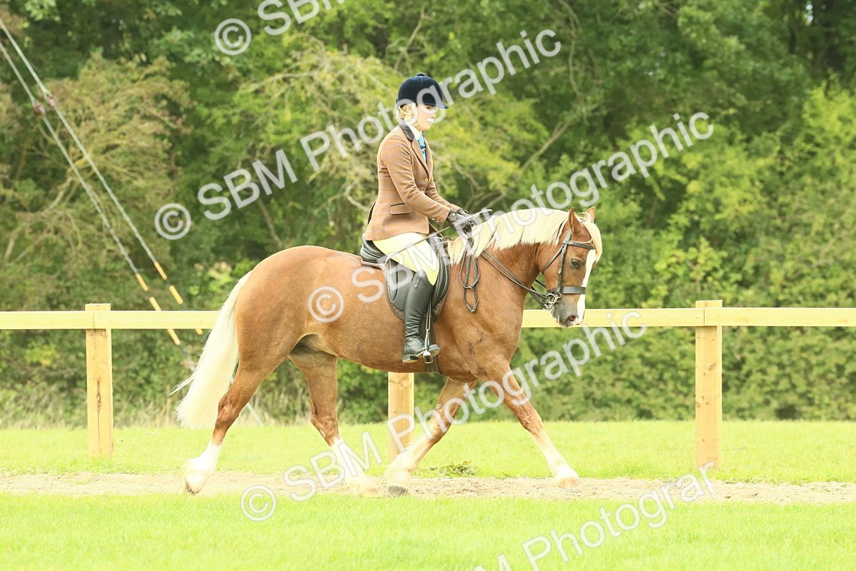 SBM_71856 - S60 - Mountain & Moorland Ridden Large Breeds
