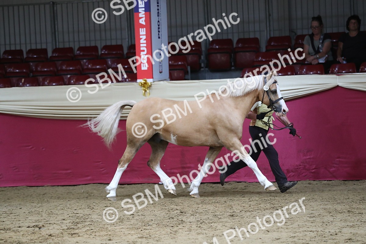 SBM_06280 - Class 9R Regional- IH Pre Vet