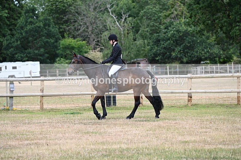 WJ6_3802 - Class 9 Tack & Turnout