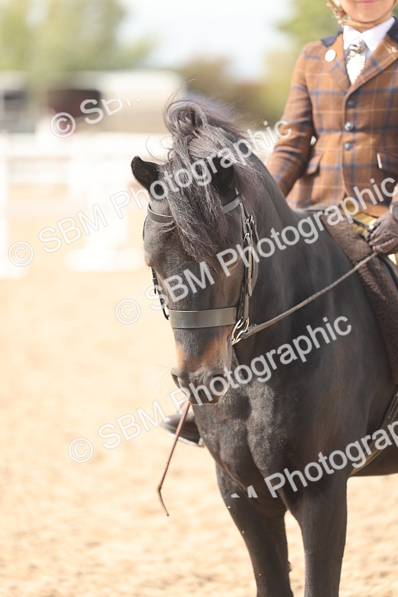 SBM_15892 - Class 310 - First Ridden Pony